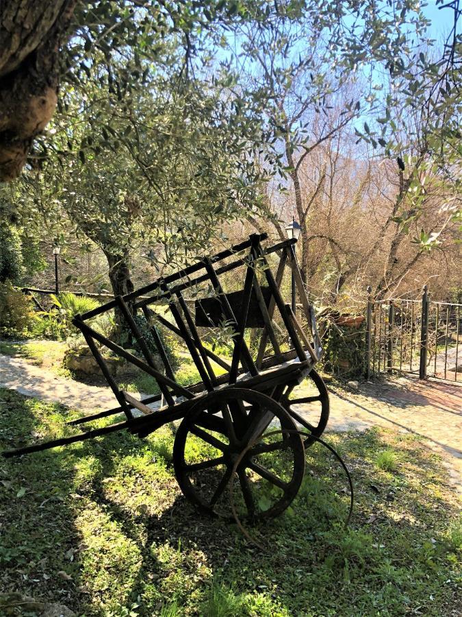 Villa Depandance, Casale l'Antica Mola Castel Madama Exterior foto